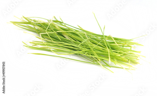 wheatgrass photo