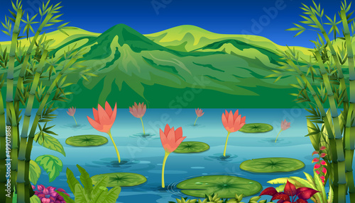The water lilies and flowers at the lake