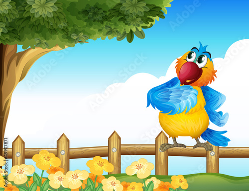 A colorful parrot at the backyard