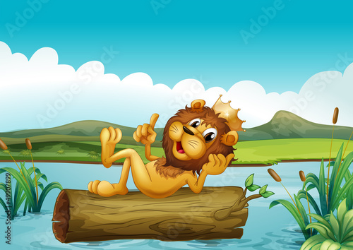 A trunk with a king lion