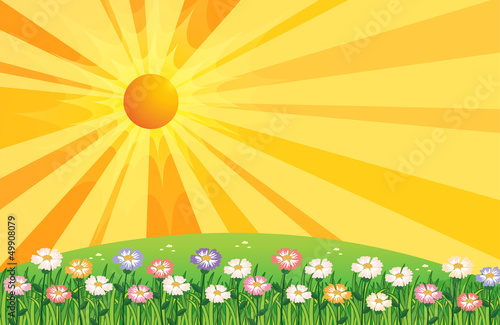 The top of the hill and the sunset