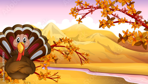 An autumn view with a turkey