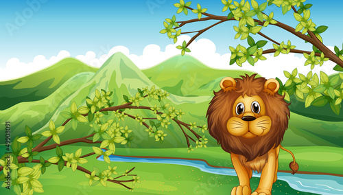 The mountain view with a lion and a river