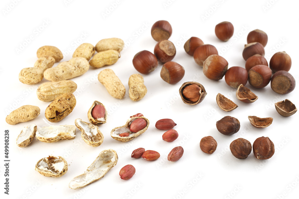 nuts a filbert and a peanut in a shell nuts a filbert and a peanut in a shell