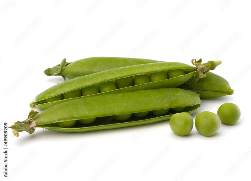 Fresh green pea pod Fresh green pea pod