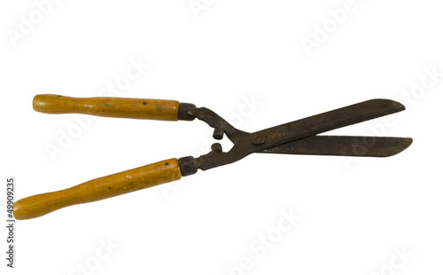 garden hedge trimmers clippers tool isolated white