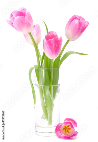 Pink tulips bouquet in vase isolated on white background © Natika