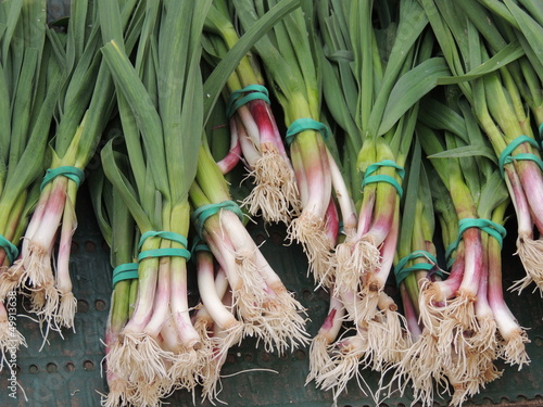 Bottes d'aillet sur le marché