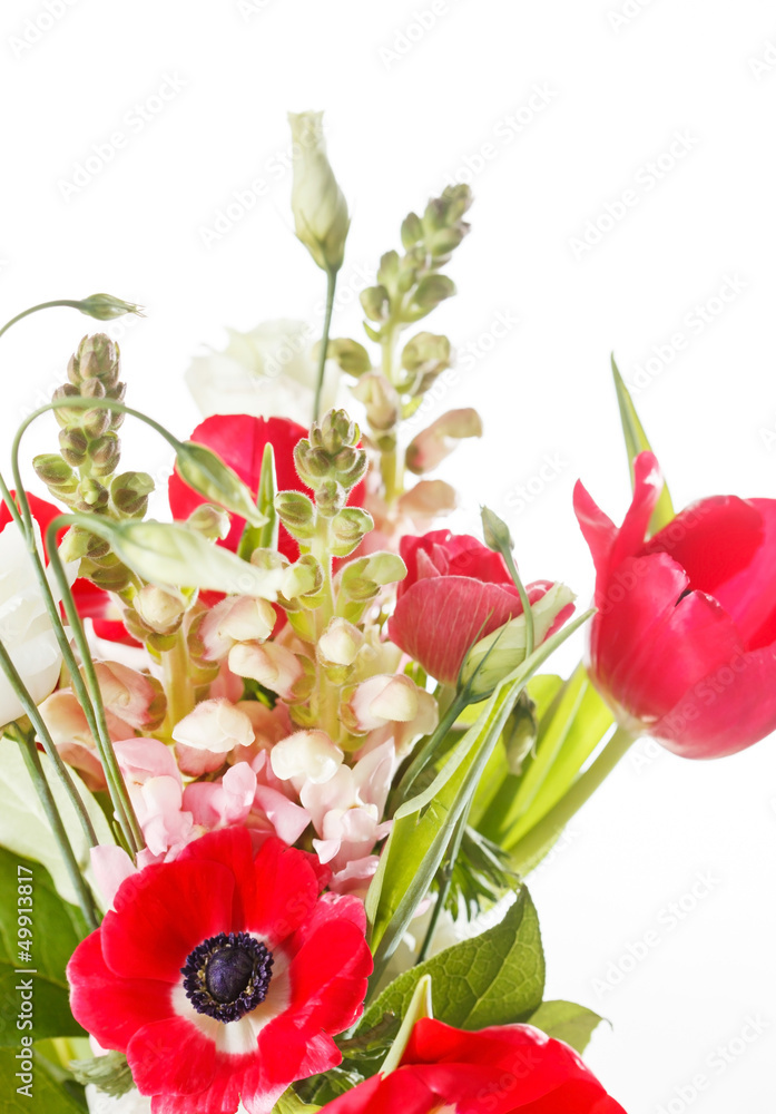Fototapeta premium spring flowers