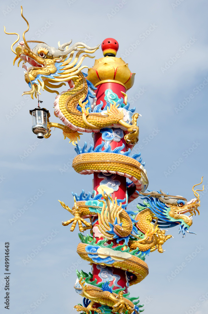 Fototapeta premium dragon
