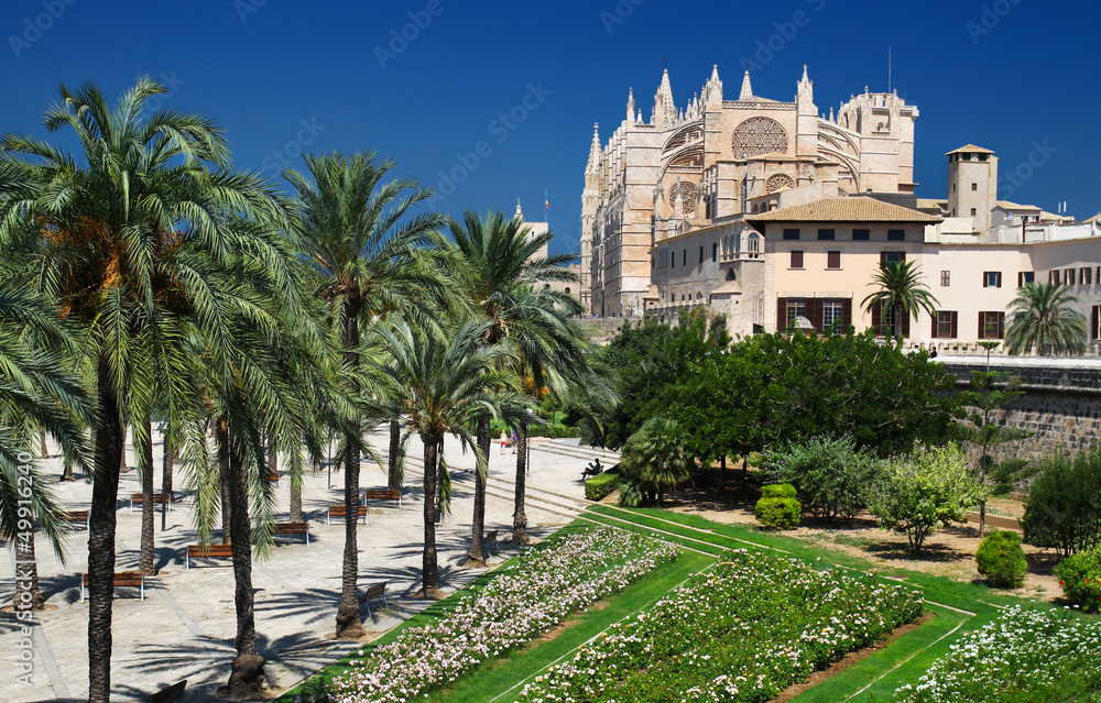 Fototapeta premium Palma de Mallorca - Palmen und Kathedrale