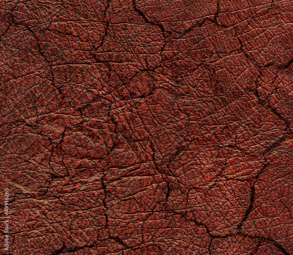peau rouge peau rouge