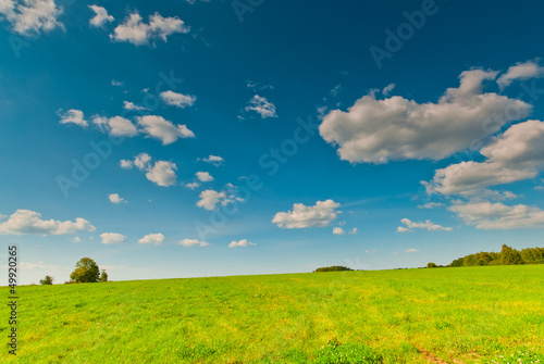 Beautiful view of green field and blue sky with clouds