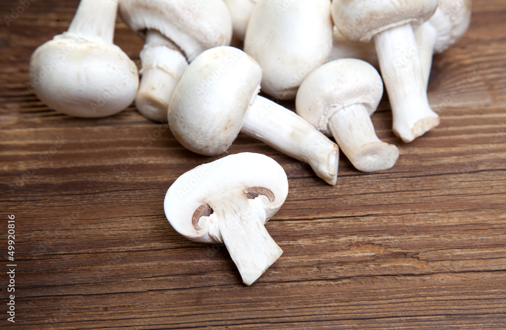 Champignons auf Holz I Champignons auf Holz I