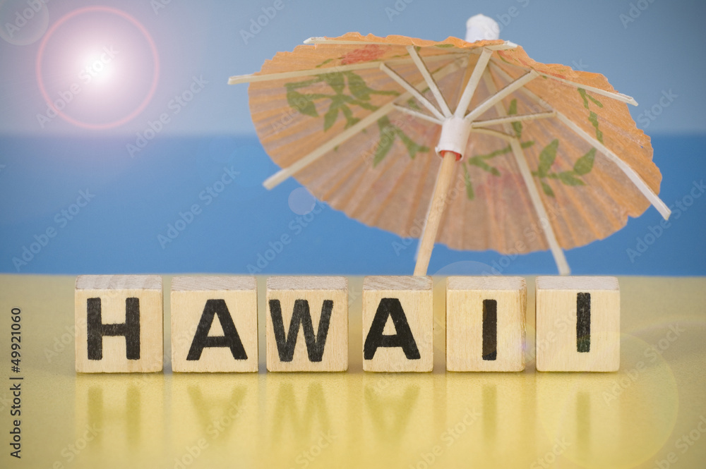 Holidays symbol - Hawaii