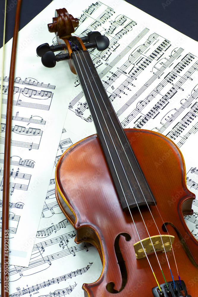 Fototapeta premium violino