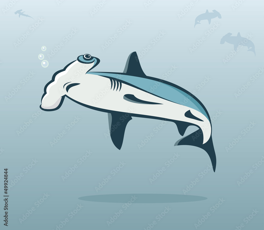 Fototapeta premium Hammer head shark