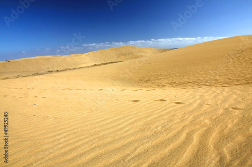 Desert  Dunas de Maspalomas  in Gran Canaria island Spain