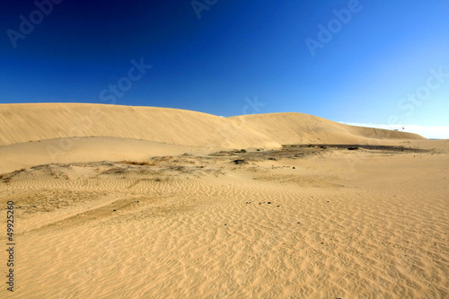 Desert  Dunas de Maspalomas  in Gran Canaria island Spain