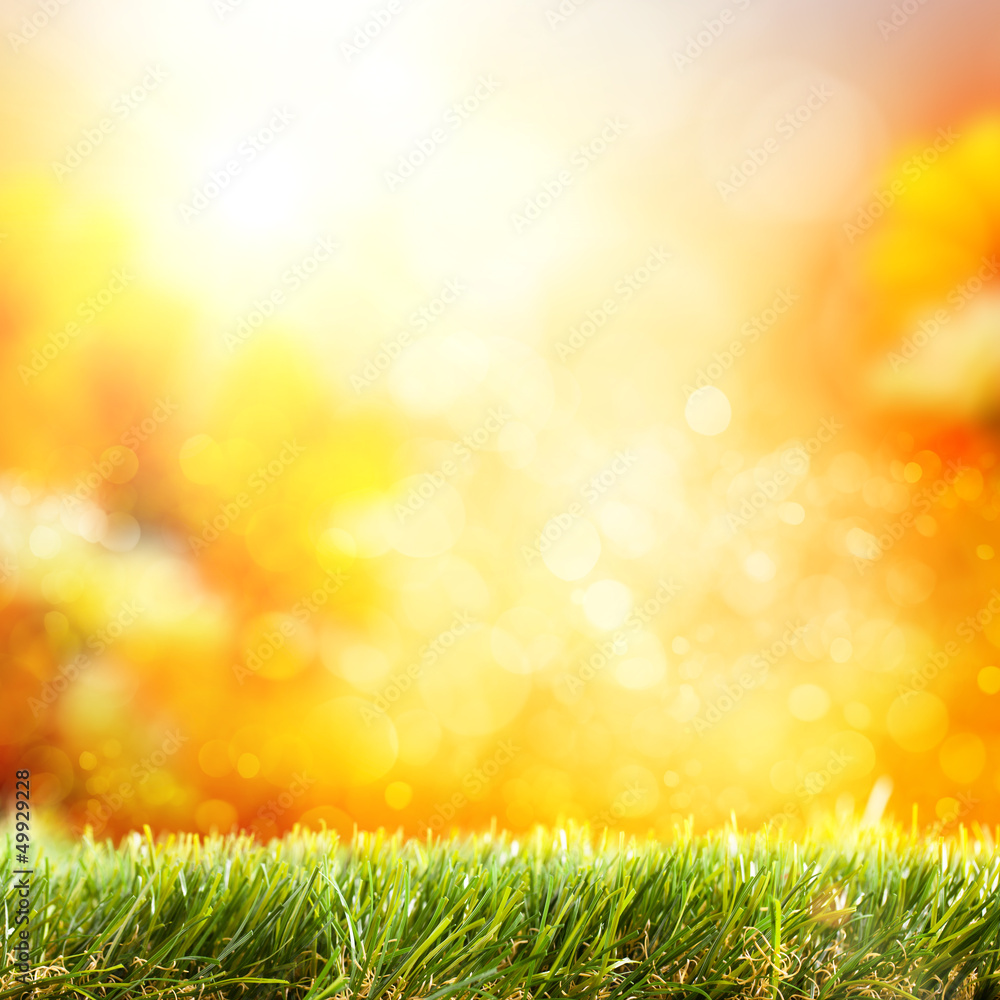 Obraz premium Frühlingsmotiv