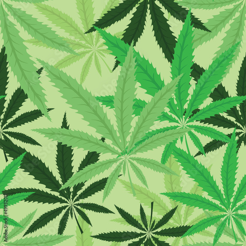 Wallpaper with green leavs of cannabis