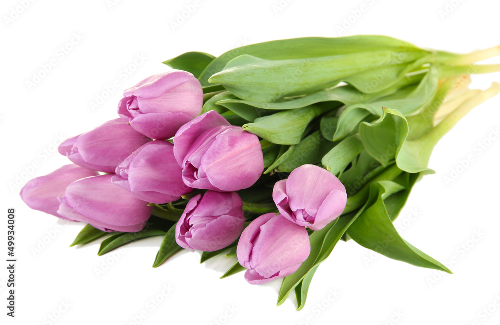 Beautiful bouquet of purple tulips, isolated on white Beautiful bouquet of purple tulips, isolated on white