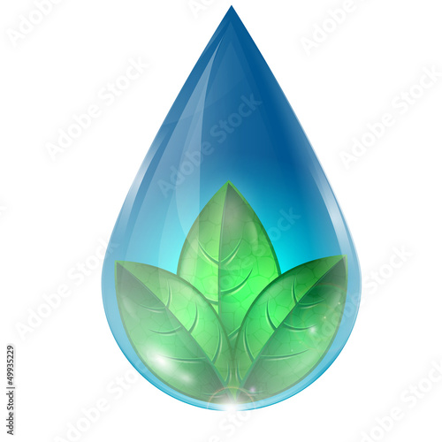 drop of water with green leaves