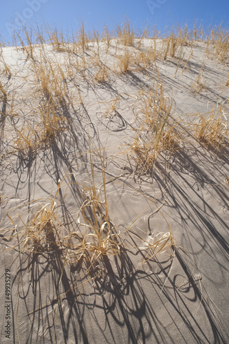 Fototapeta Naklejka Na Ścianę i Meble -  Kelso sand dunes vegetation ,shadow