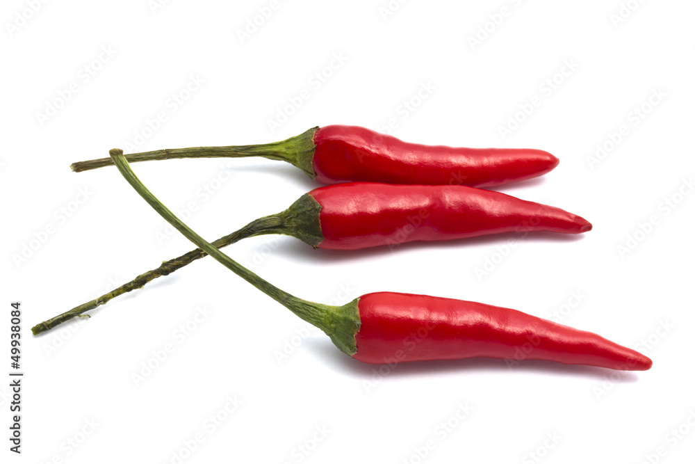 Red Chilli Red Chilli