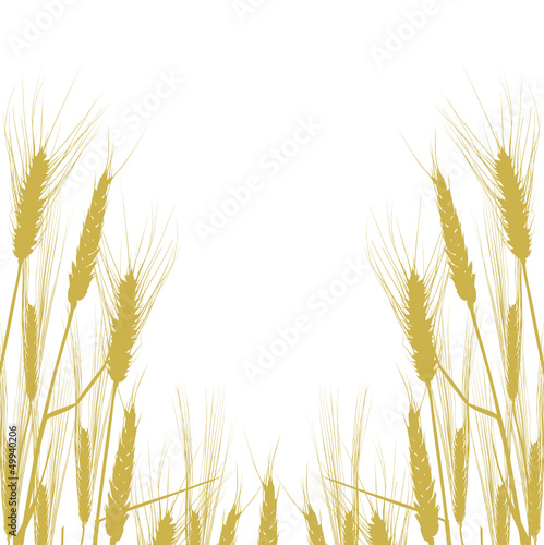 gold wheat silhouettes half frame