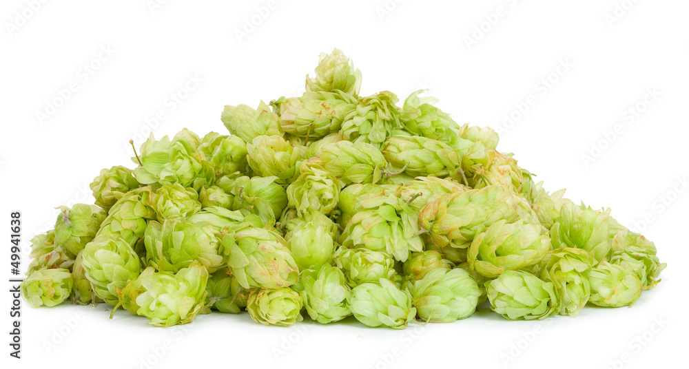 A pile of hops