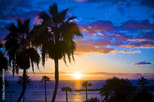 Palm trees silhouette at sunset, Gran Canaria, Spain