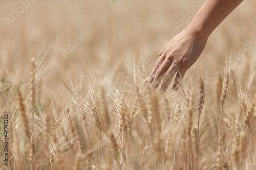 Man s hand holding a spike on the background field
