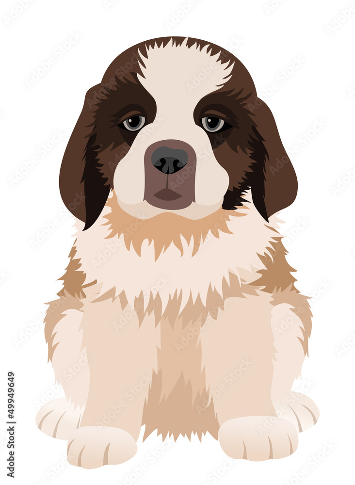 St Bernard puppy. Vector illustration. St Bernard puppy. Vector illustration.
