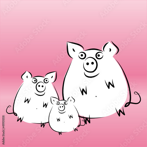 Schweine - bio - Fleisch