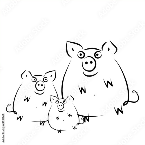 Schweine - bio - Fleisch