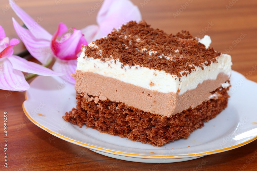 piece of chocolate cake piece of chocolate cake