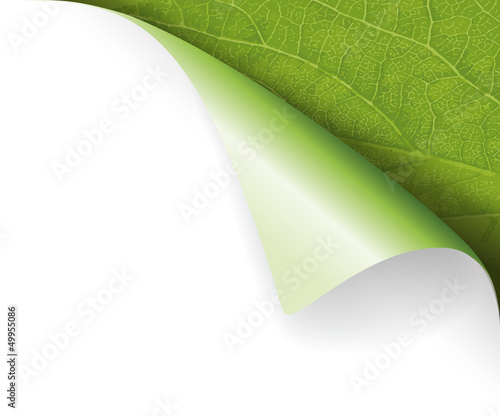 Papier Ecke Blatt Natur