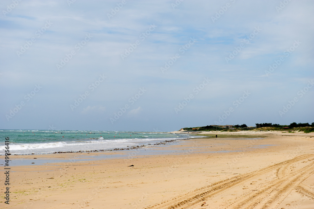 Coast island Oleron