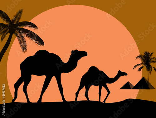 Camel and palms on sunset background © Balint Radu