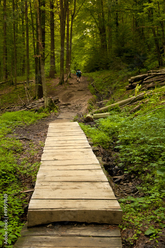Walking trail to the summit Tarnica in the. Poland