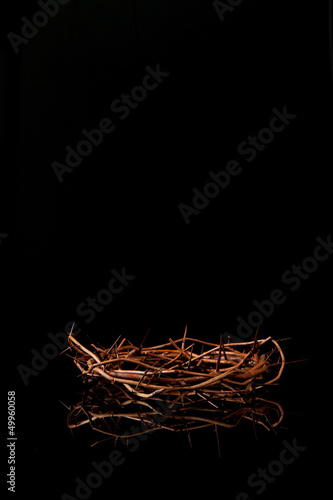 Fotografia, Obraz Crown of Thorns