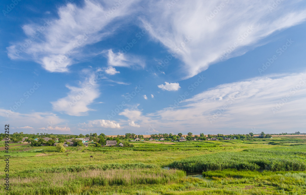 summer landscape