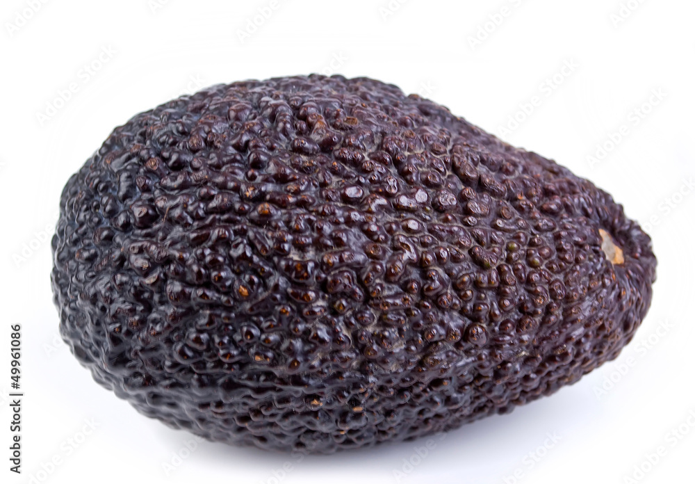 avocado avocado