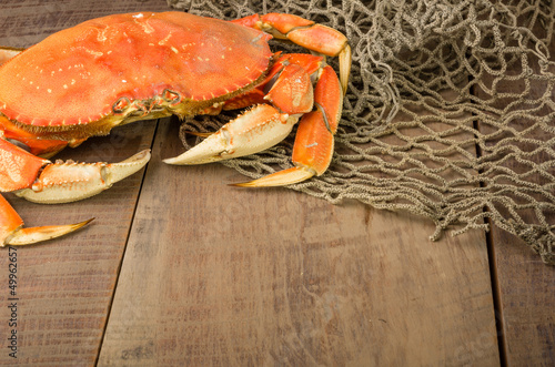 Foto Dungeness crab ready to cook