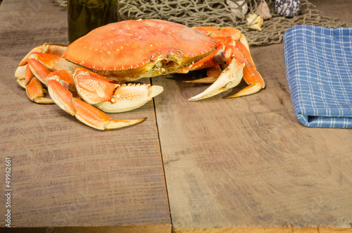 Dungeness crab ready to cook