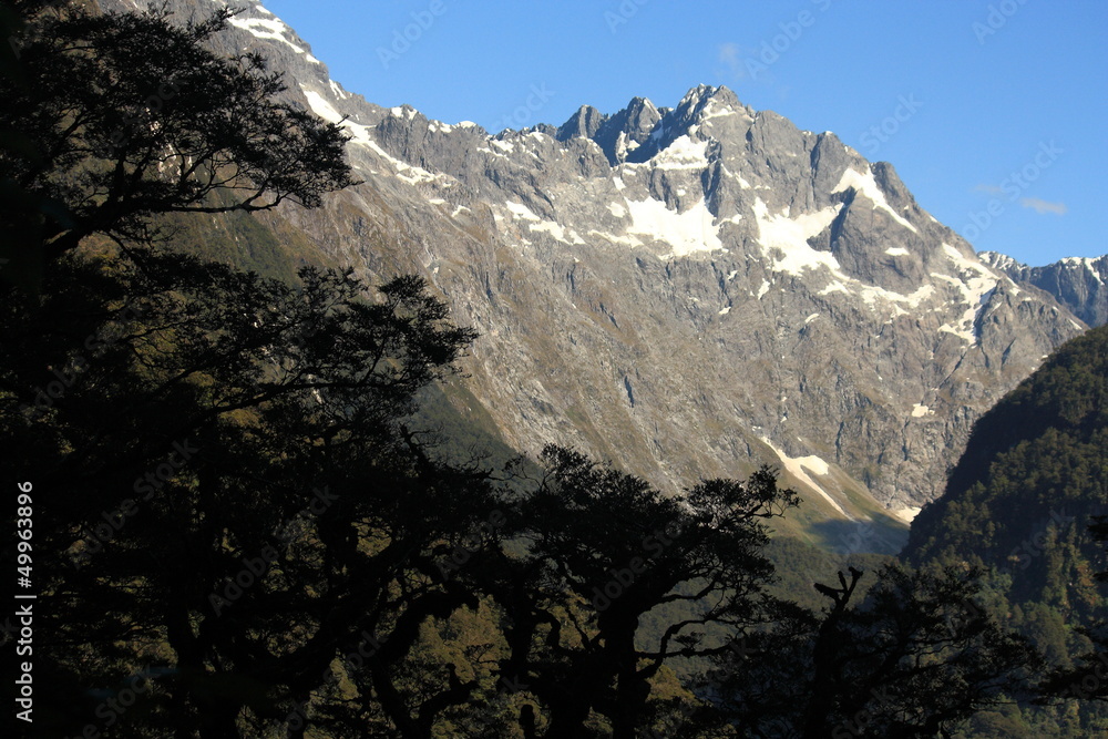 alpine peaks in Fiordland National Park
