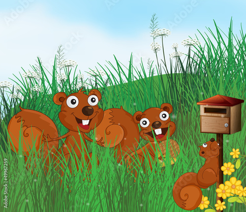 Three squirrels with a wooden mailbox