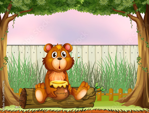 A bear above a trunk holding a honey