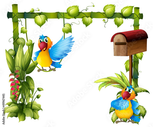 Two parrots with a wooden mailbox